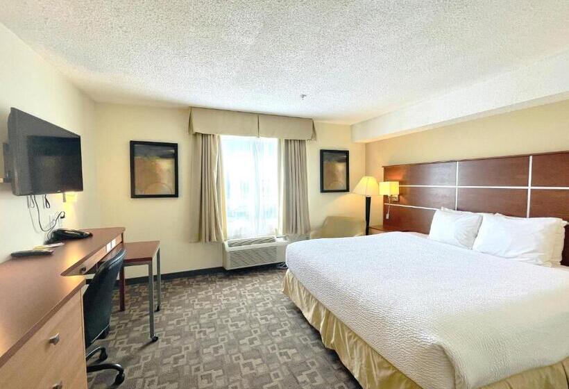 带大床的豪华间, Days Inn By Wyndham Grande Prairie