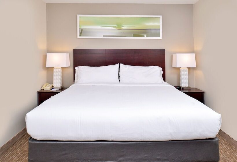 스위트, Holiday Inn Express Hotel & Suites Lafayette, An Ihg