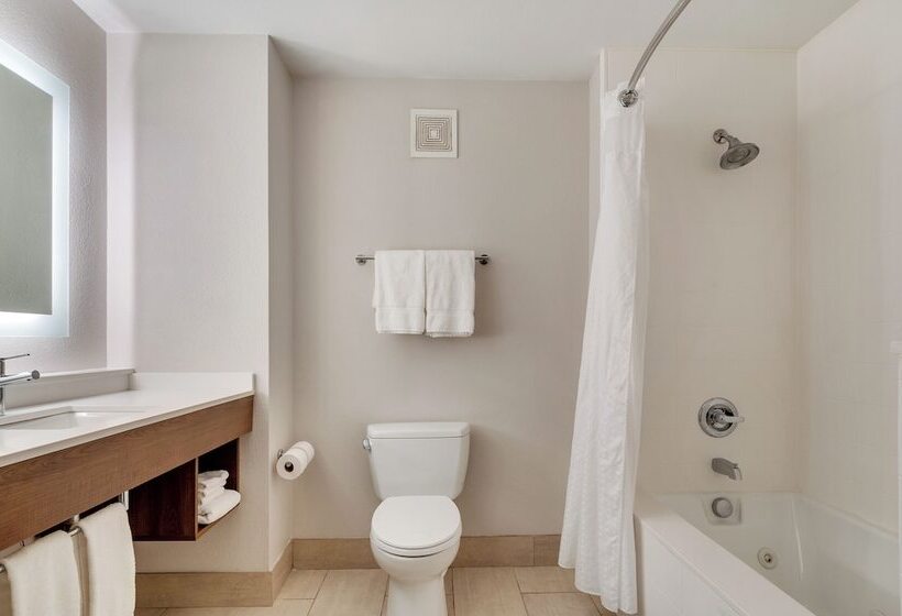 Люкс Адаптированный для Инвалидов, Holiday Inn Express Hotel & Suites Lake Elsinore, An Ihg