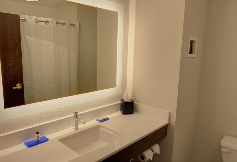 Люкс, Holiday Inn Express & Suites Le Mars, An Ihg