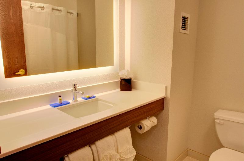 Люкс Executive Кровать Кинг, Holiday Inn Express & Suites Le Mars, An Ihg