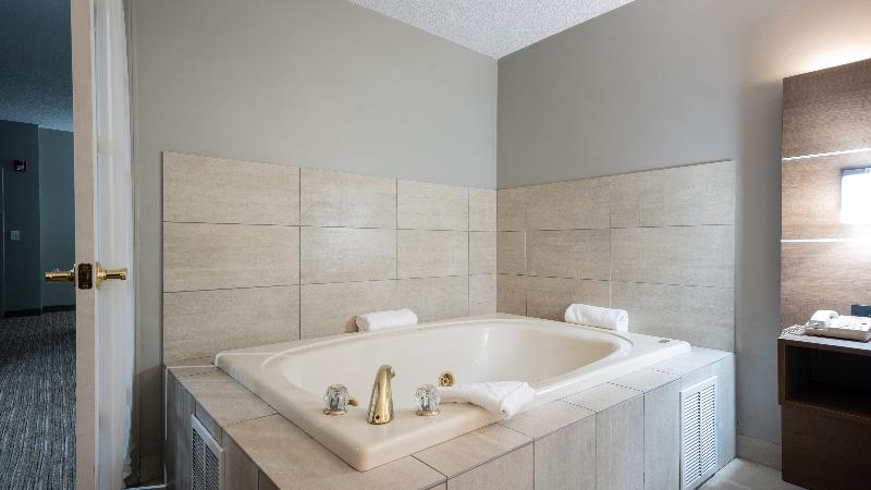 스위트, Holiday Inn Express & Suites Bad Axe, An Ihg