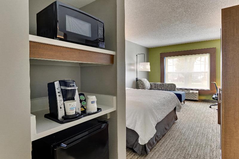스탠다드 룸 킹사이즈 침대, Holiday Inn Express & Suites Bad Axe, An Ihg