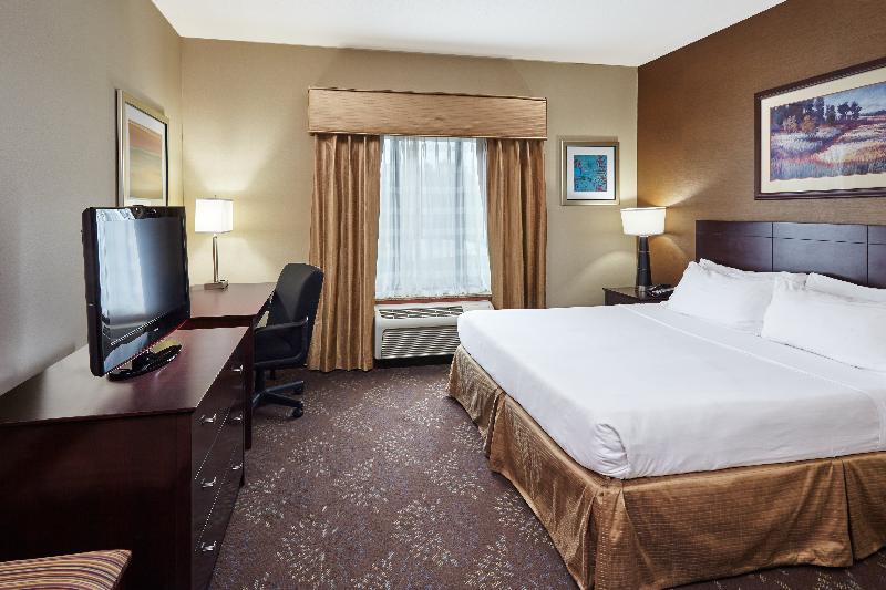 Стандартный Номер Кровать Кинг, Holiday Inn Grand Rapids   South, An Ihg