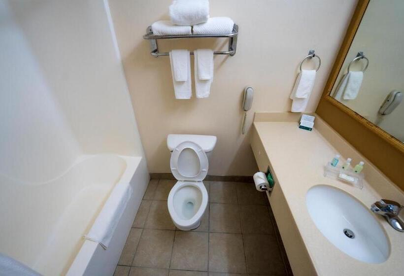 Номер Стандарт 2 Двуспальные Кровати, Quality Inn & Suites
