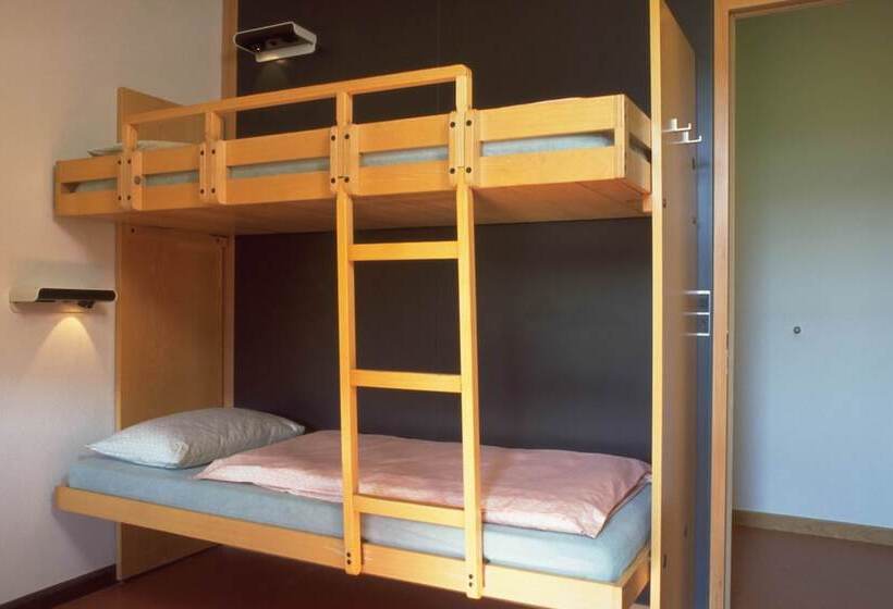 اتاق استاندارد با سرویس بهداشتی مشترک, Zurich Youth Hostel