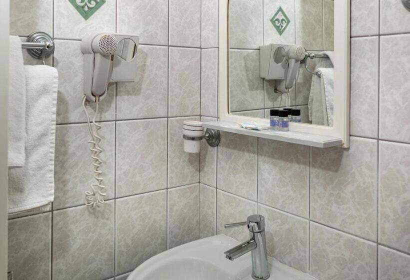 اتاق اکونومی یک تخته, Delfini