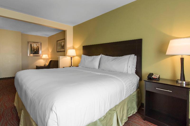Стандартный Номер Кровать Кинг, Holiday Inn Express Hotel & Suites Cullman By Ihg