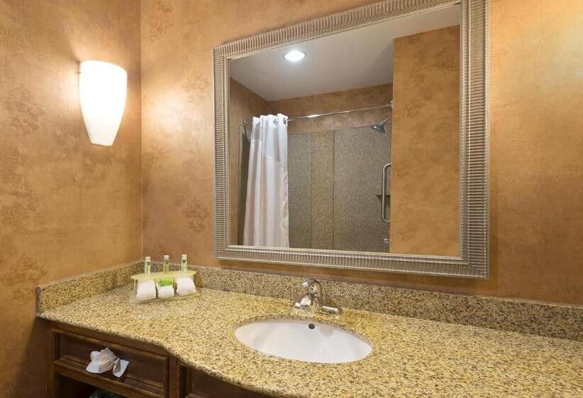 חדר סטנדרט, Holiday Inn Express Suites Little Rock West, An Ihg