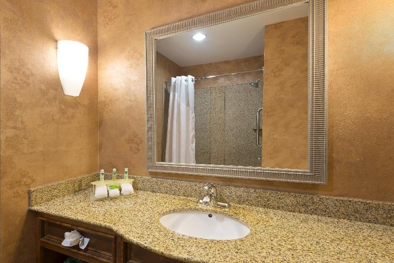 스탠다드 룸, Holiday Inn Express Suites Little Rock West, An Ihg