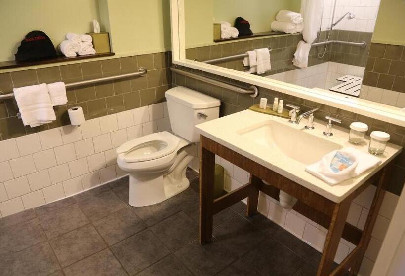 장애인을 위한 킹사이즈 침대 스탠다드 룸, Indigo Athens   University Area, An Ihg