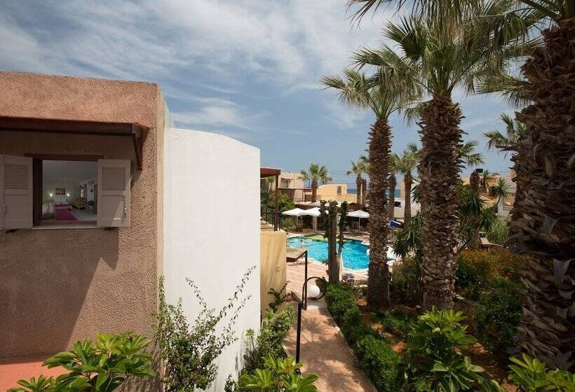 استودیوی استاندارد, Latania Apartments
