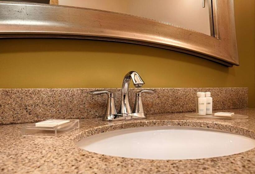 身障者適用スタンダードルーム, Best Western Plus Jacksonville West