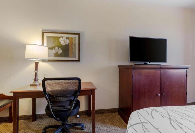 Номер Стандарт, Best Western Plus Sweetwater Inn & Suites