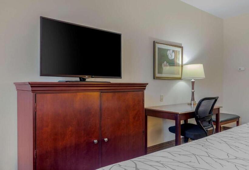 Стандартный Номер Кровать Кинг, Best Western Plus Sweetwater Inn & Suites