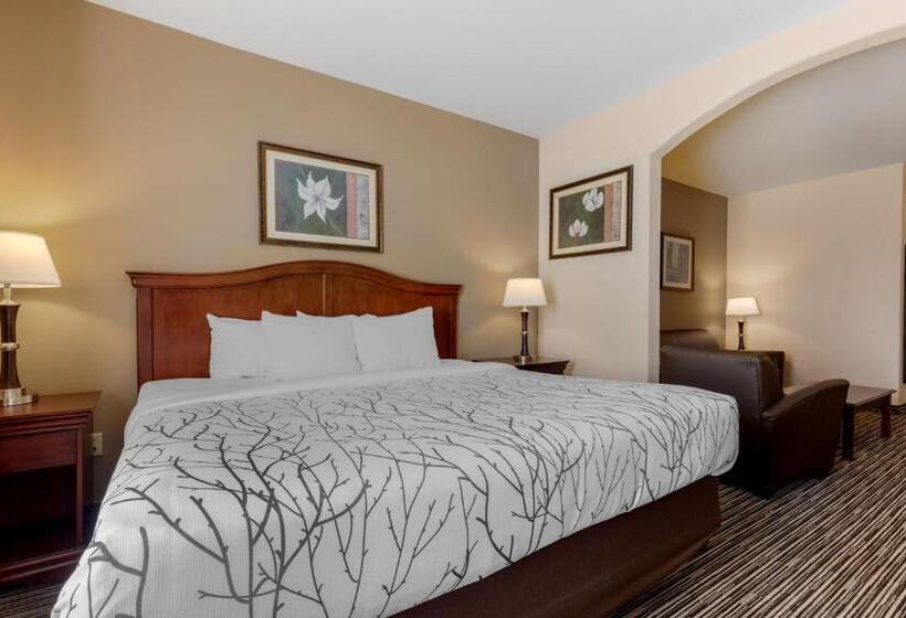 Люкс Кровать Кинг, Best Western Plus Sweetwater Inn & Suites