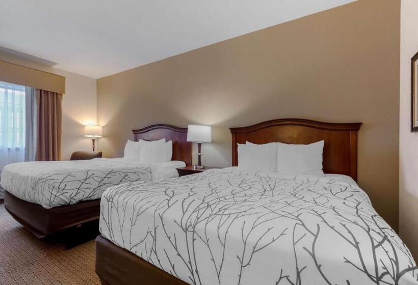 Номер Стандарт Адаптированный для Инвалидов, Best Western Plus Sweetwater Inn & Suites