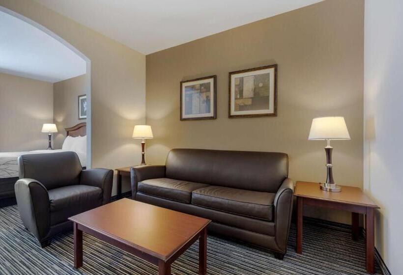 Люкс, Best Western Plus Sweetwater Inn & Suites