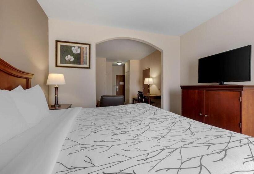 Люкс, Best Western Plus Sweetwater Inn & Suites