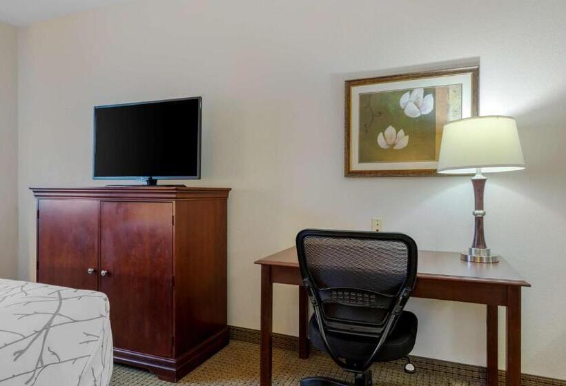 Номер Стандарт Кровать Кинг Адаптированный для Инвалидов, Best Western Plus Sweetwater Inn & Suites