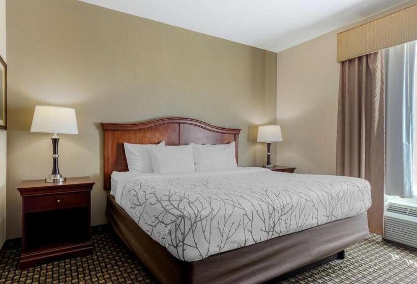 Люкс Адаптированный для Инвалидов, Best Western Plus Sweetwater Inn & Suites
