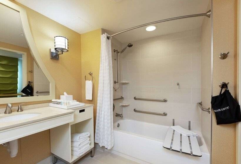 Люкс Адаптированный для Инвалидов, Embassy Suites Houston Downtown