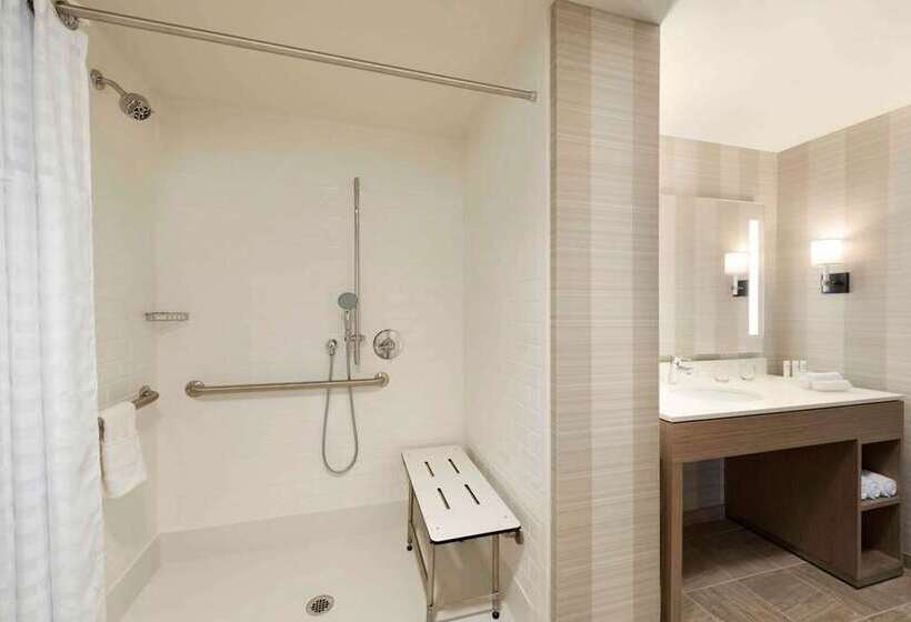 Люкс, Embassy Suites Houston Downtown