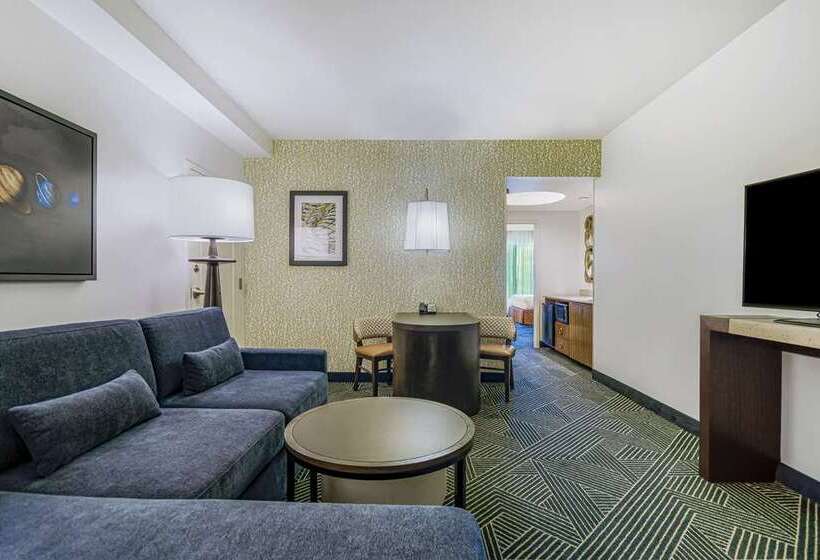 Люкс, Embassy Suites Houston Downtown