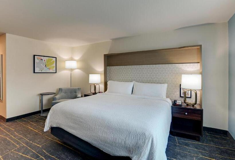 스탠다드 룸 킹사이즈 침대, Holiday Inn Mobile Airport, An Ihg