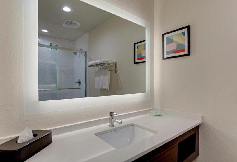 Quarto Executivo Cama King, Holiday Inn Mobile Airport, An Ihg