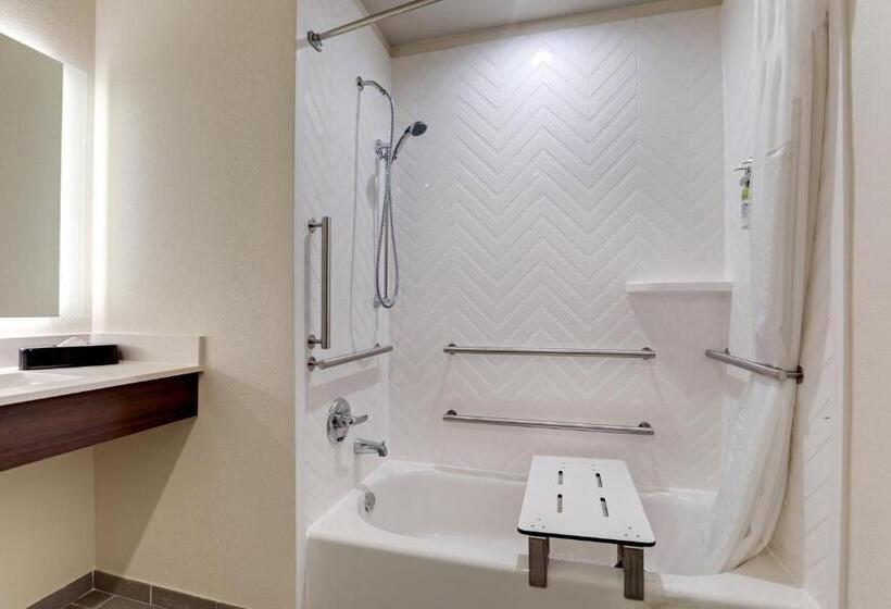 장애인용 디럭스룸, Holiday Inn Mobile Airport, An Ihg