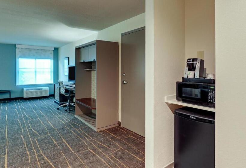 장애인을 위한 킹사이즈 침대 스탠다드 룸, Holiday Inn Mobile Airport, An Ihg