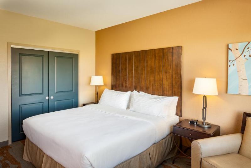 带大床的套房, Holiday Inn San Antonio Northwest  Seaworld Area, An Ihg