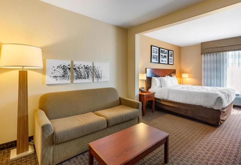 스위트 킹사이즈 침대, Sleep Inn & Suites Idaho Falls Gateway To Yellowstone