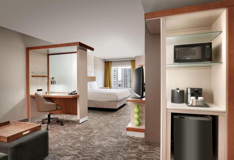 استودیوی استاندارد, Springhill Suites By Marriott Las Vegas Convention Center