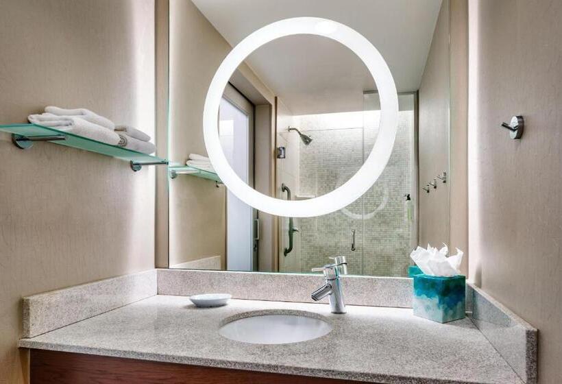 استودیوی لوکس, Springhill Suites By Marriott Las Vegas Convention Center