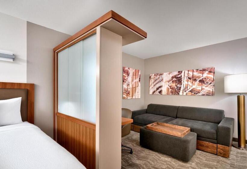 استودیو استاندارد با تخت کینگ, Springhill Suites By Marriott Las Vegas Convention Center