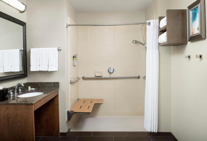 장애인을 위한 스탠다드 룸, Staybridge Suites Greenville I 85 Woodruff Road, An Ihg