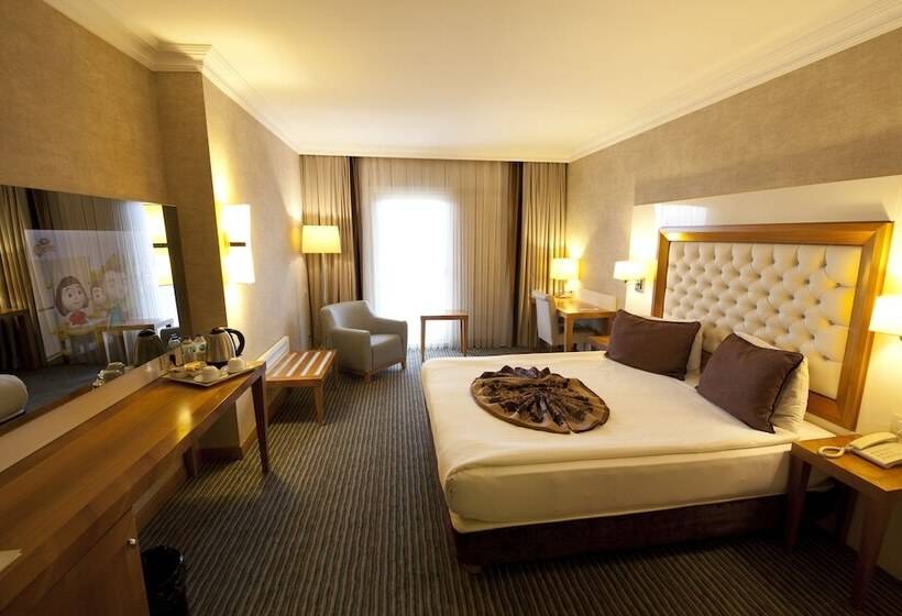 اتاق استاندارد, Tugcu Hotel Select
