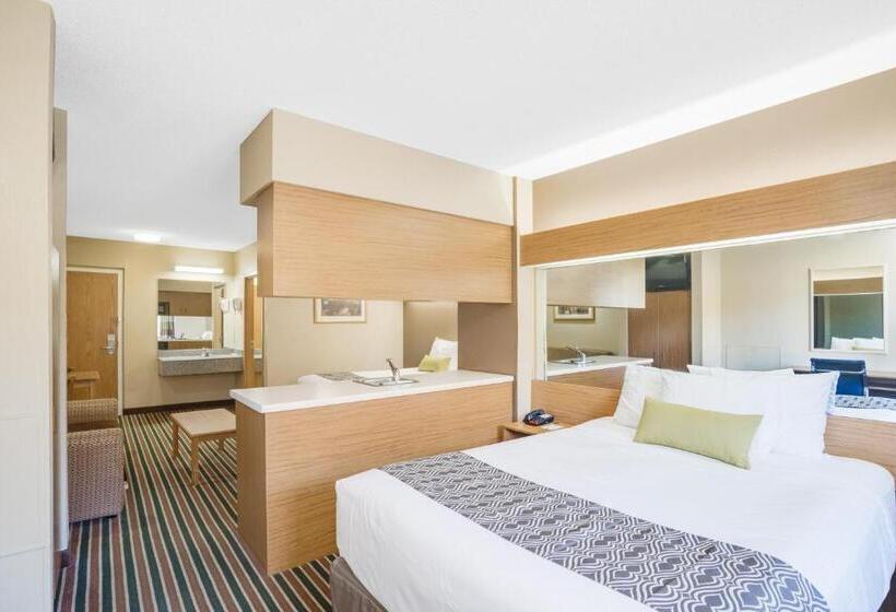 带四张床的标准工作室, Microtel Inn & Suites By Wyndham Pigeon Forge