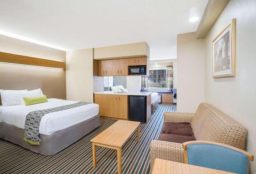 豪华工作室, Microtel Inn & Suites By Wyndham Pigeon Forge