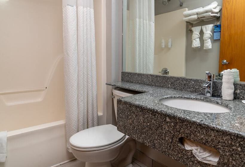 套房, Microtel Inn & Suites By Wyndham Pigeon Forge