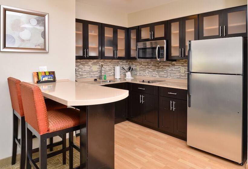 标准工作室, Staybridge Suites San Antonio Stone Oak, An Ihg