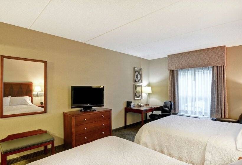 스탠다드 룸 더블 침대 2개, Hampton Inn Sayre