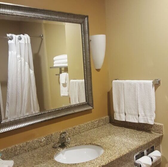 Quarto Estandar, Holiday Inn Express Hotel & Suites Pensacola West Navy Base, An Ihg