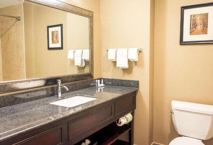 스탠다드 룸, Comfort Inn & Suites Plainvillefoxboro