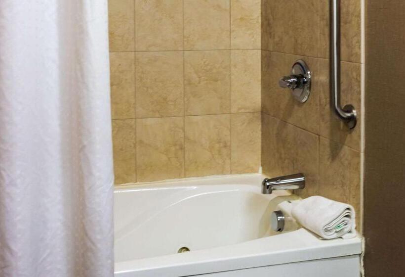 스탠다드 룸 더블 침대 2개, Comfort Inn & Suites Plainvillefoxboro