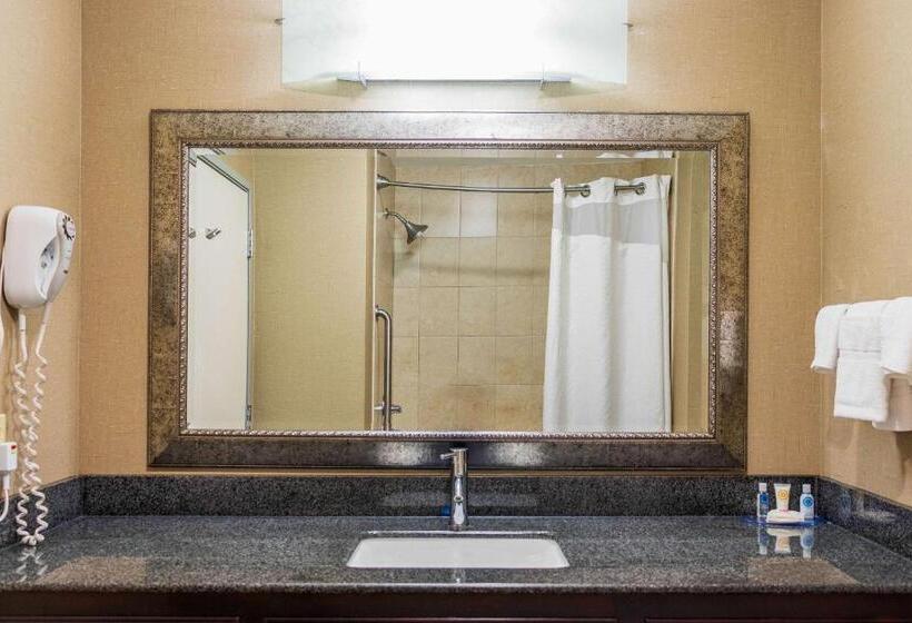 스탠다드 룸 킹사이즈 침대, Comfort Inn & Suites Plainvillefoxboro