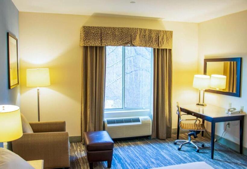 스탠다드 룸 킹사이즈 침대, Comfort Inn & Suites Plainvillefoxboro