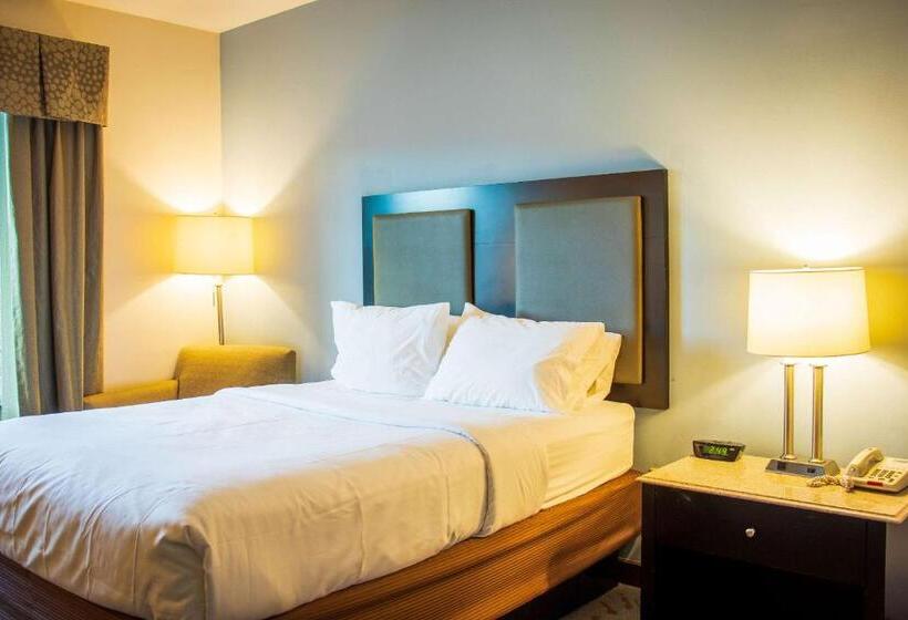 장애인을 위한 스탠다드 룸, Comfort Inn & Suites Plainvillefoxboro